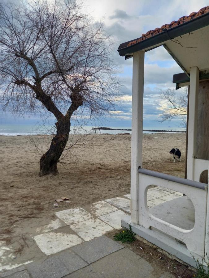 Bilocale Climatizzato A 850M Dalla Spiaggia Casa Katia Marina di Massa Luaran gambar